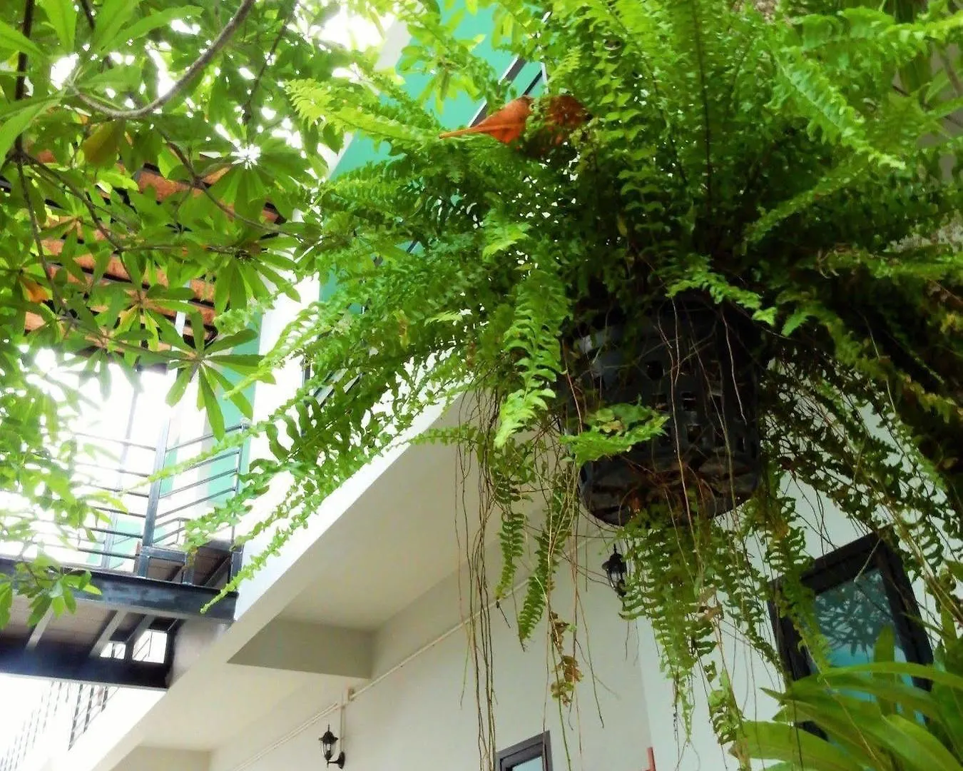 Wandee Bed & Breakfast Khao Lak